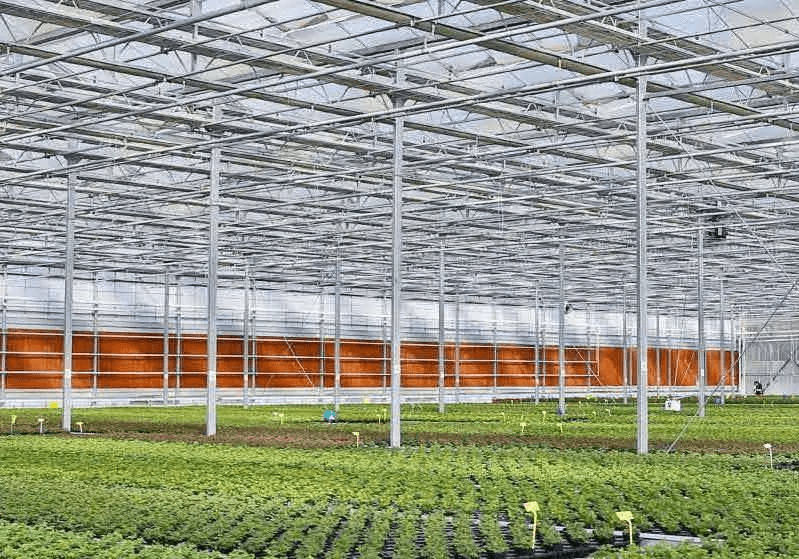 中央一号文件明确指出:2023年设施农业这样干!(图5) 中央一号文件明确指出:2023年设施农业这样干!(图5)