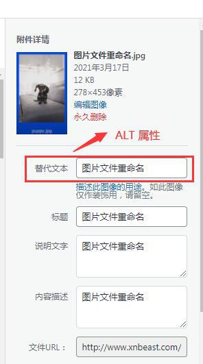 页面SEO优化终极指南（15大策略按谷歌最新规则2022更新）(图38)